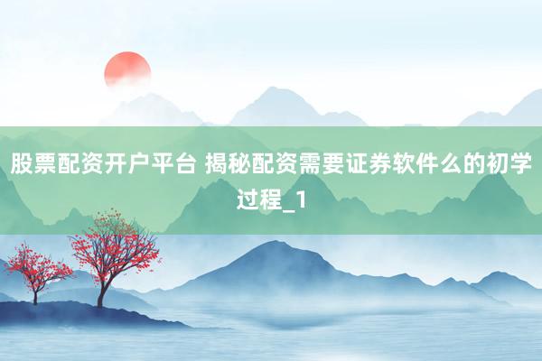 股票配资开户平台 揭秘配资需要证券软件么的初学过程_1